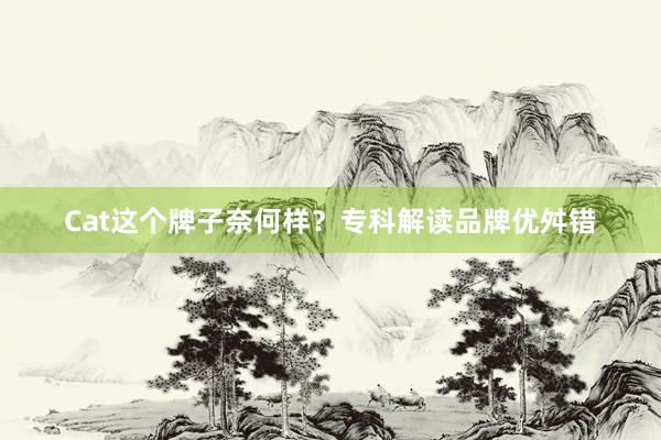 Cat这个牌子奈何样？专科解读品牌优舛错